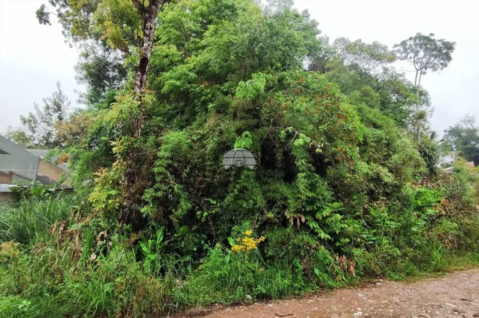 Vendas Terreno Colombo PR