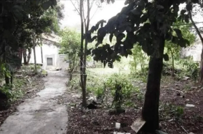 terreno - Vila Industrial - Campinas