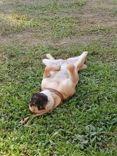 Doação 