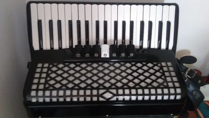 Sanfona Acordeon Dophin com Case - Preço Imperdível