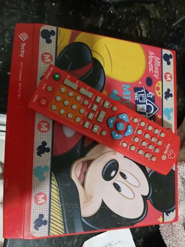 Dvd mickey