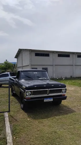 Ford F-100 Super 3.6 1981