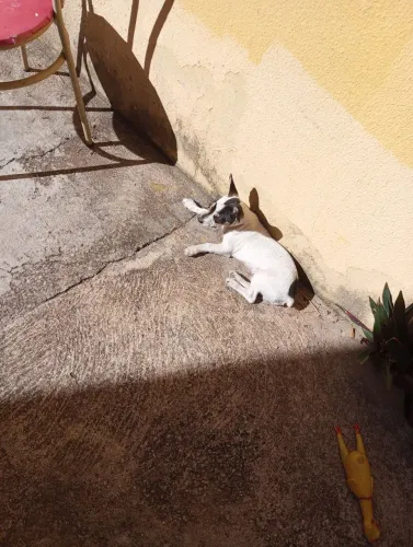 Doação RESPONSÁVEL.