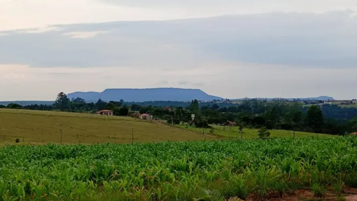Chácara produtiva em Bofete
