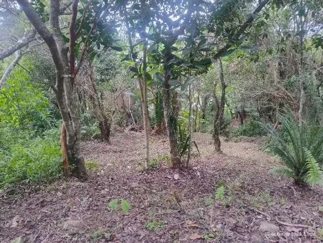 Terreno no Ratones 520m2