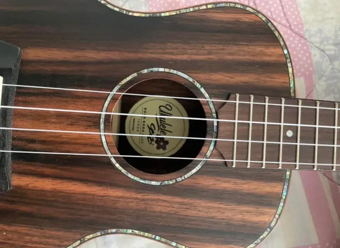 Ukulele Seizi Elétrico Tenor Borabora Plus Ebony Bag