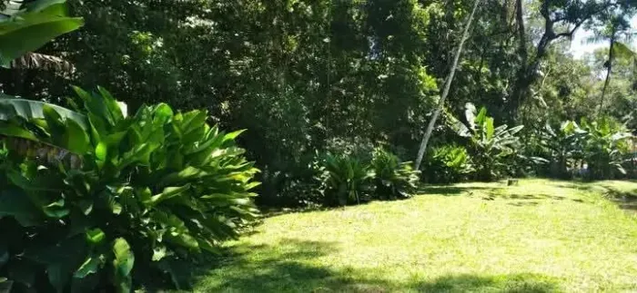Vendo terreno grande