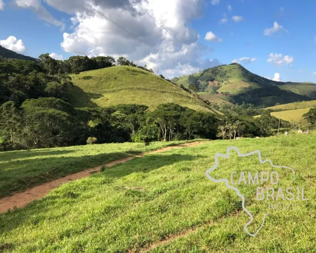FAZENDA 190 HECTARES FIM DE LINHA TRAQUILA E SEGURA APTDÃO PARA PECUARIA !