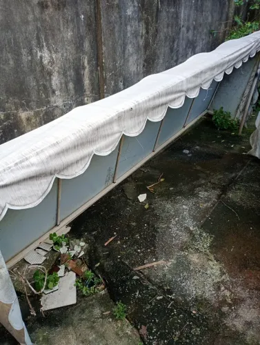 Toldo