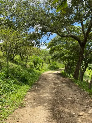 Lotes próximos a São Paulo