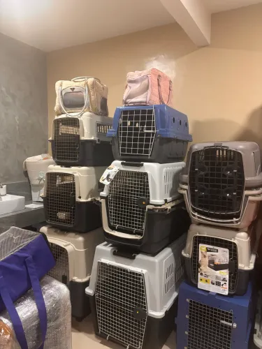 Venda e Aluguel de Caixas de Transporte para animais