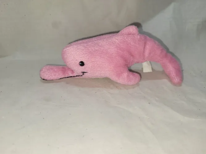 Boto Rosa Coleção Guaraná Caçulinha 
