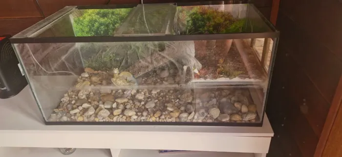 Terrario / Aquário com filtro
