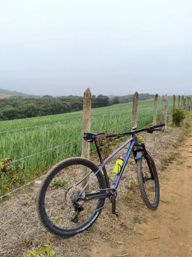 Bike Sense Impact Carbon Pro 