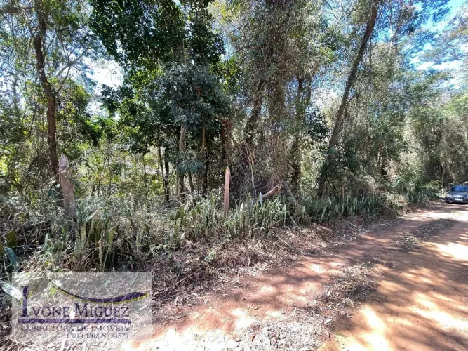 Terreno em Palmares - Paty do Alferes, RJ