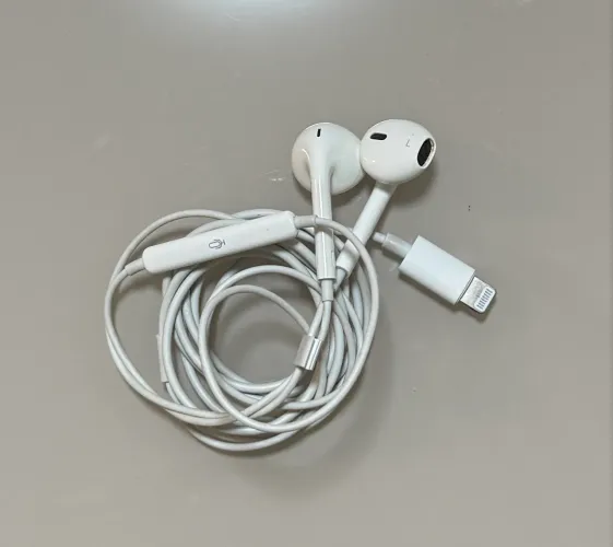 Fone de ouvido Apple Original saída Lightning