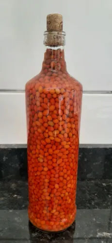 Pimenta Cumari Nativa Legítima Garrafa 900ml - Curtida no Vinagre