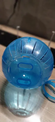 Bolinha de exercício para Hamster