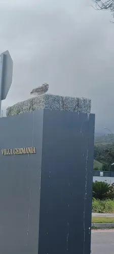 Vendo terreno