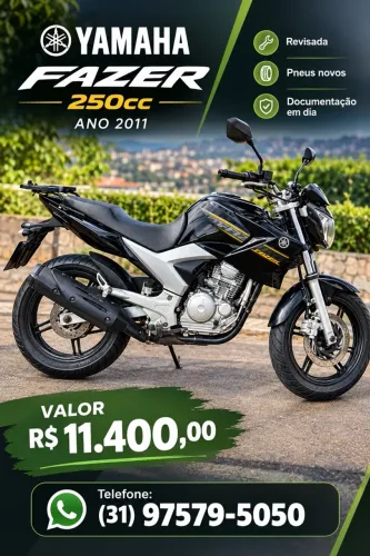 Yamaha YS 250 Fazer/ Fazer L. Edition /blueflex 2011