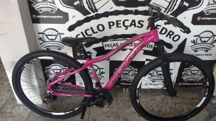 Bicicleta aro 29 feminina