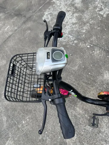 E- BIKE FARM LÍTIO