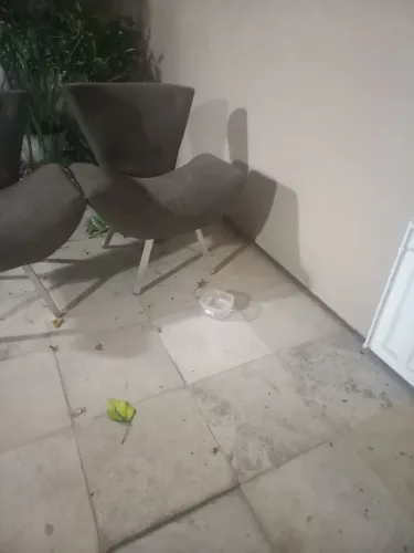 Poltronas Semi-Novas