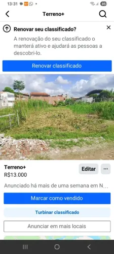 Terreno