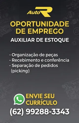 Auxiliar de Estoque