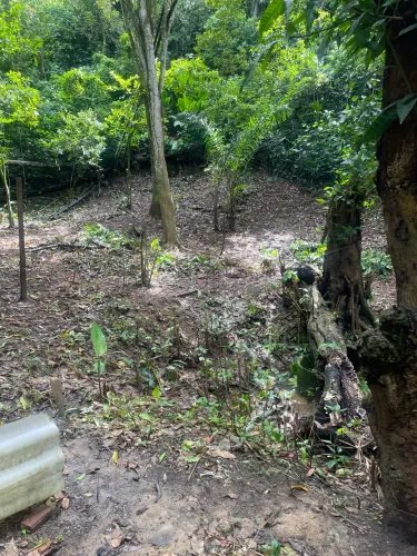 Terreno/Sitio para família DOIS UNIDOS/Recife