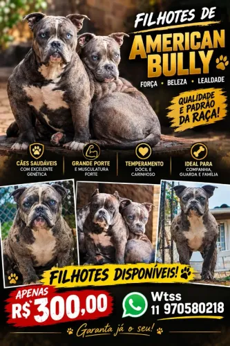 American Bullying