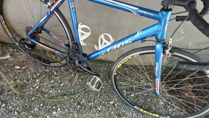 Speed Gios 