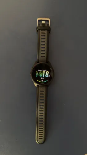 Garmin 168 music 