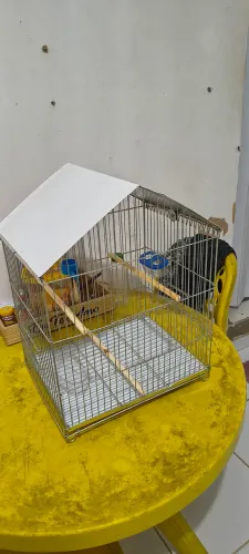 Vendo viveiro com brinquedos para pássaros