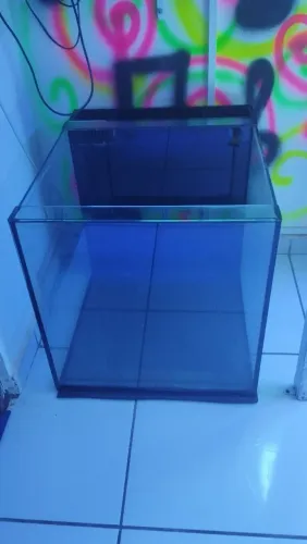 Aquário 50x50x60 com sump traseiro