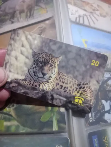 Cartão telefônico onça pintada