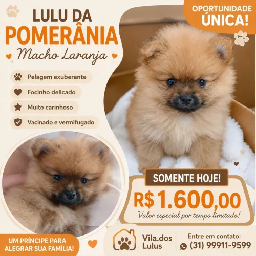 Lulu