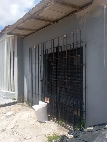 Portão social e garagem