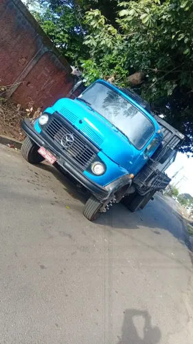 Caminhão 1113