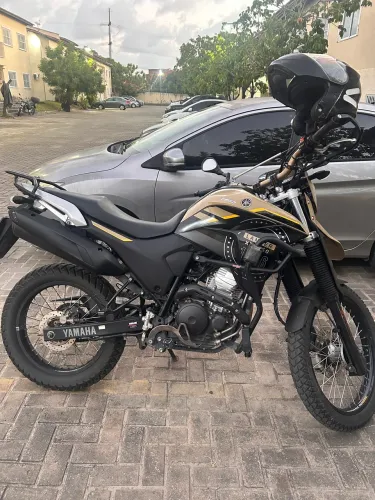 Vendo Lander 2023