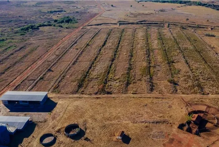 Fazenda em Goiás 6.148 hectares dupla aptidão 300 milhões 