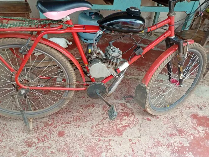 Bicicleta motorizada
