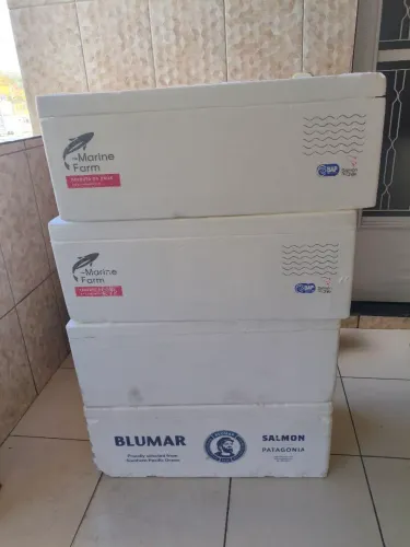 15 caixas de isopor 10 reais cada