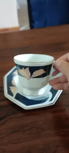 Jogo 6 xicaras de chá porcelana Schimdt