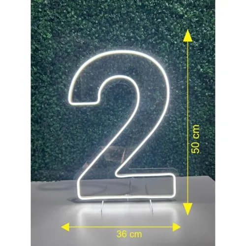 NÚMEROS EM NEON PARA SUA  FESTA? 