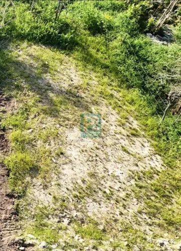 Terreno Pronto Para Construir na Praia De Mariscal!