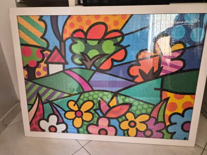 Quadro Romero Brito - Paisagem Florida