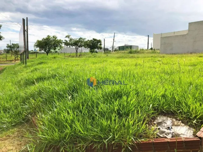 (Aceita troca) Terreno à venda, 565 m² por R$ 1.100.000 - Jardim Universitário - Maringá/P