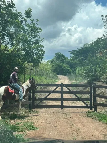 Fazenda 40 Alqueires em Agua Fria Goiás