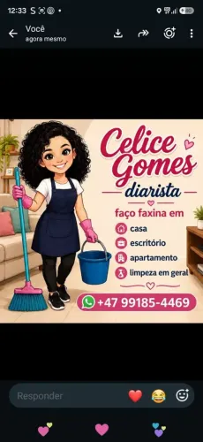 Limpo e organizo seu lar